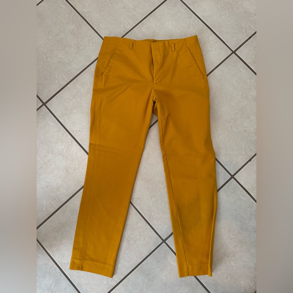 Mustard Zara pant
